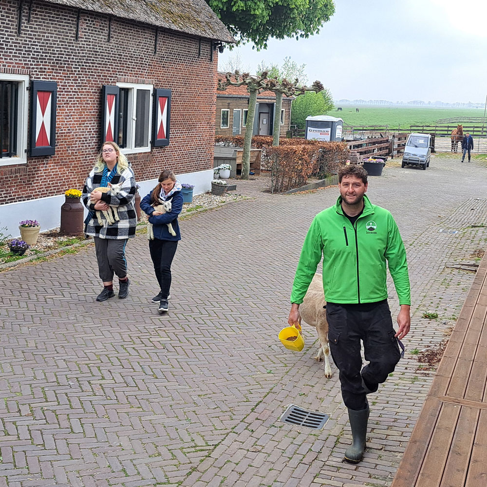 Een man wandelt met een schaap over een stenen pad.